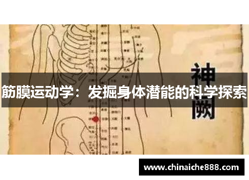 筋膜运动学：发掘身体潜能的科学探索